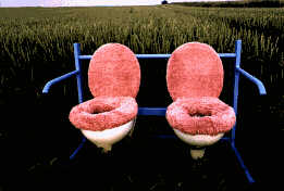 "Das" Sofa