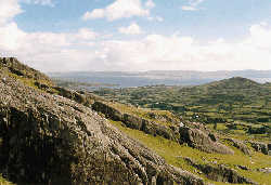 Beara
