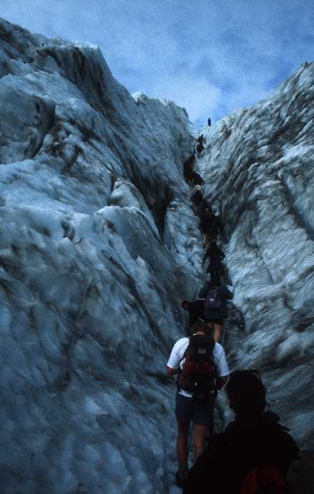 Franz Josef Glacier