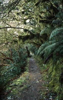 W�hrend des Aufstiegs zur H�tte